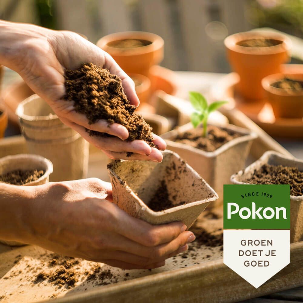 Pokon Bio MPS RHP Zaai & Stekgrond 20 liter | Direct bestellen