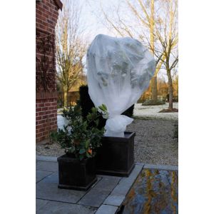 Winterafdekvlies wit 1x10m 30g/m2 Vooraanzicht