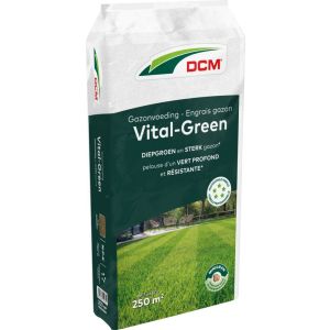 DCM Gazonvoeding Vital-Green 250 m² (10 kg) Vooraanzicht