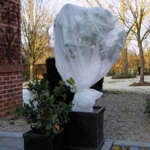 Winterafdekvlies wit 2x5m 30g/m2 Vooraanzicht