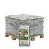 Halve pallet Pokon RHP Kwekers Potgrond 30x40L (1200L)