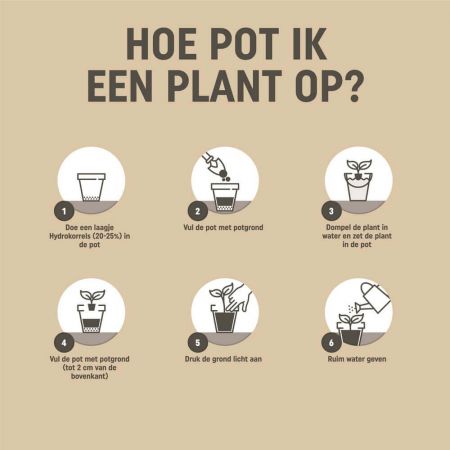 Pokon Tegen Onkruid Concentraat 450ml gebruiksaanwijzing