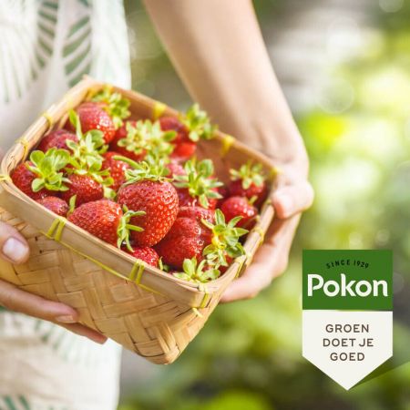 Pokon Bio Kleinfruit Mest 1kg Sfeerfoto