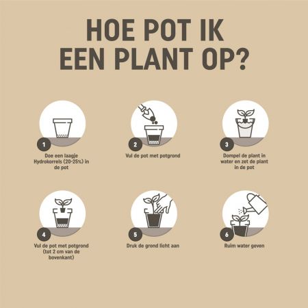 30 x 30L Pokon Bio MPS RHP Hortensia Potgrond