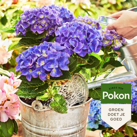 30 x 30L Pokon Bio MPS RHP Hortensia Potgrond