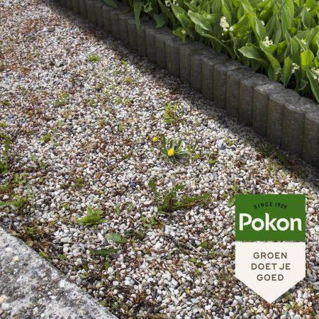 Pokon Tegen Onkruid Concentraat 450ml sfeerfoto