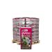 Halve pallet DCM Bio Vivimus® Rozen & Bloemen 20 zakken x 40L (800L)