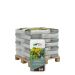 Halve pallet DCM Bio Potgrond Olijf/Vijg/Citrus 40x30L (1200L)