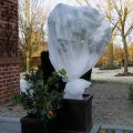 Winterafdekvlies wit 2x5m 30g/m2 Vooraanzicht