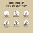 Pokon Tegen Onkruid Concentraat 450ml gebruiksaanwijzing
