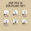Pokon Bio terras & balkon planten instructies