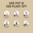 30 x 30L Pokon Bio MPS RHP Hortensia Potgrond
