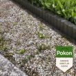 Pokon Tegen Onkruid Concentraat 450ml sfeerfoto