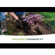 Pallet DCM Bio Potgrond Zuurminnende planten 78x30L (2340L)