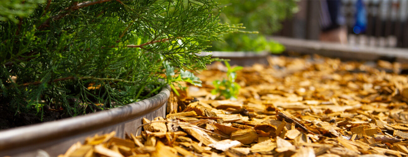 Kantopsluiting in de tuin