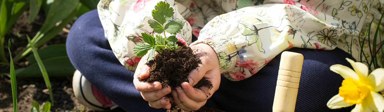 Plantverzorging tuin