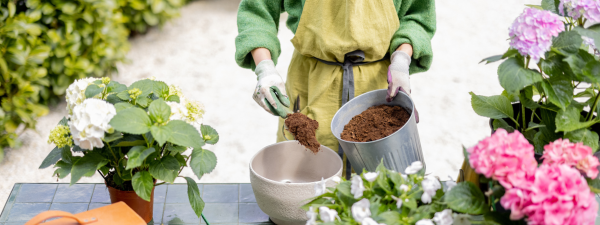 Biologisch tuinieren in potten Tuinshop Biologisch tuinieren in potten Tuinshop