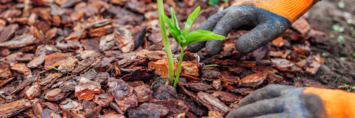 Boomschors aanleggen in tuin