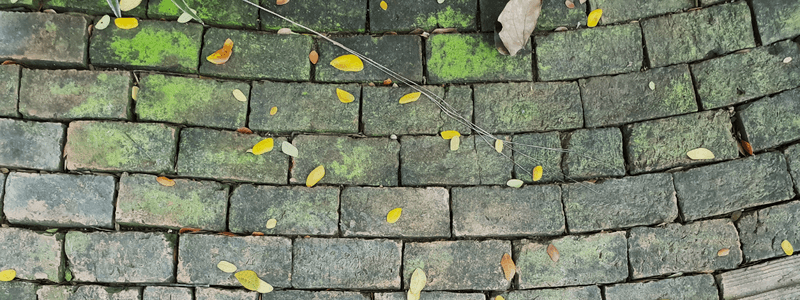 Groene aanslag verwijderen