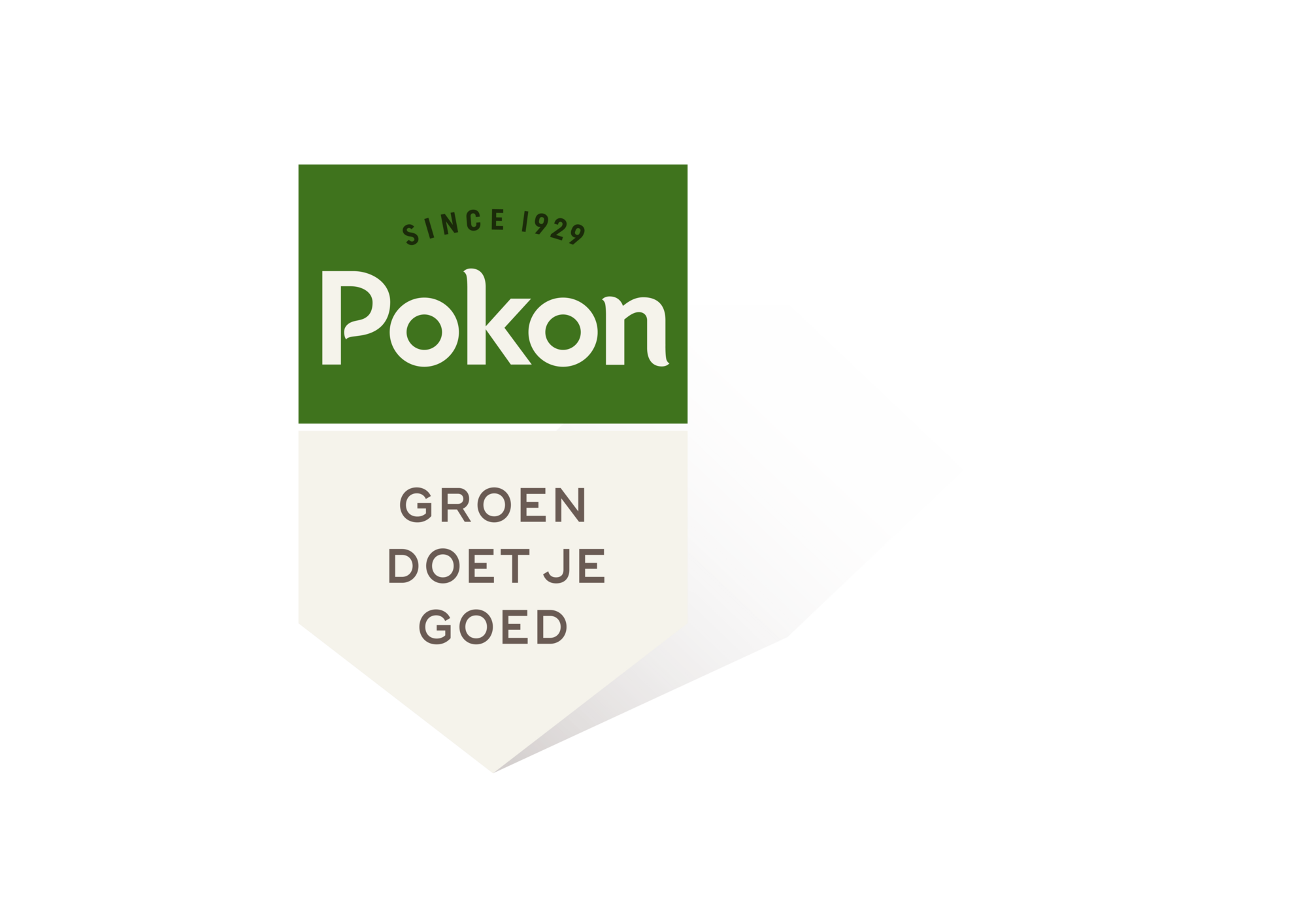 Pokon