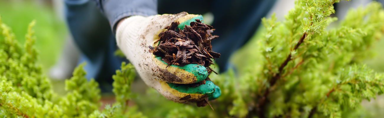 Grond verbeteren voorjaar Tuinshop.nl Grond verbeteren voorjaar Tuinshop.nl