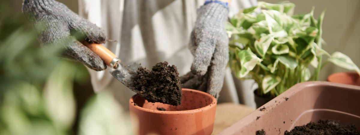 Potgrond Tuinshop Potgrond Tuinshop