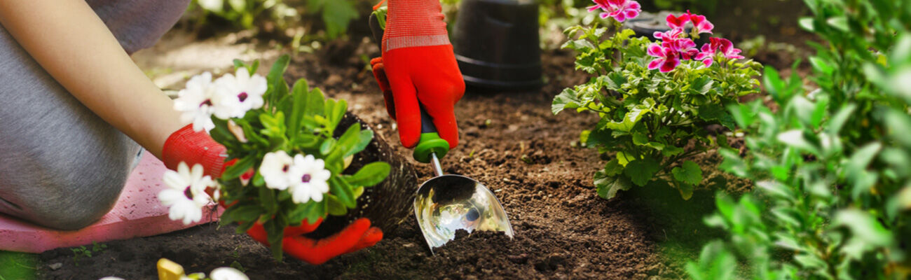 Tuinaarde kopen doe je bij Tuinshop.nl