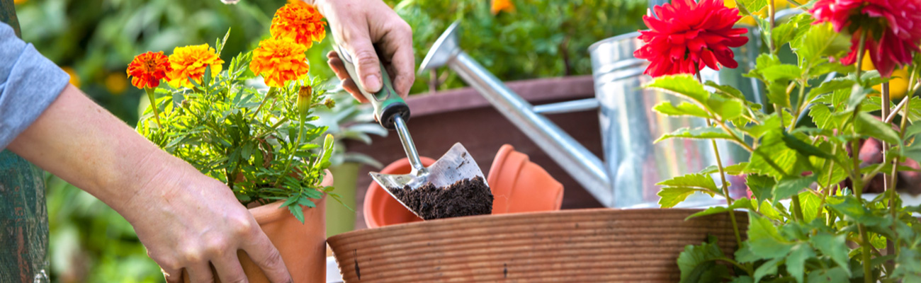 Verschil tuinaarde en potgrond