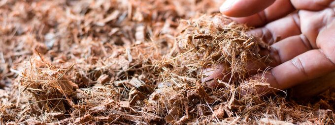 Kokossnippers van Pokon kopen doe je bij tuinshop.nl