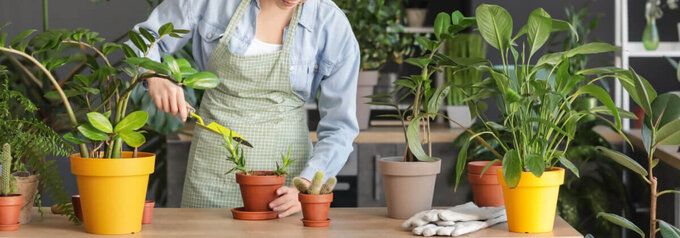 Potgrond kopen doe je bij tuinshop.nl