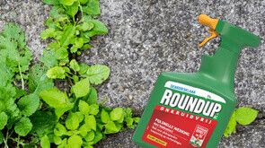 Roundup tegen onkruid