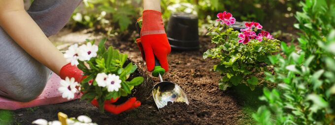 Tuinaarde kopen doe je bij tuinshop.nl