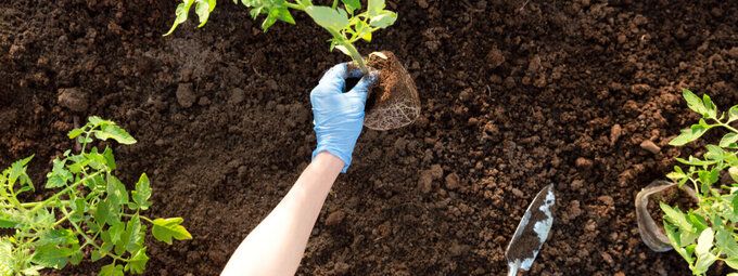 ALT: Tuinaarde kopen doe je bij tuinshop.nl