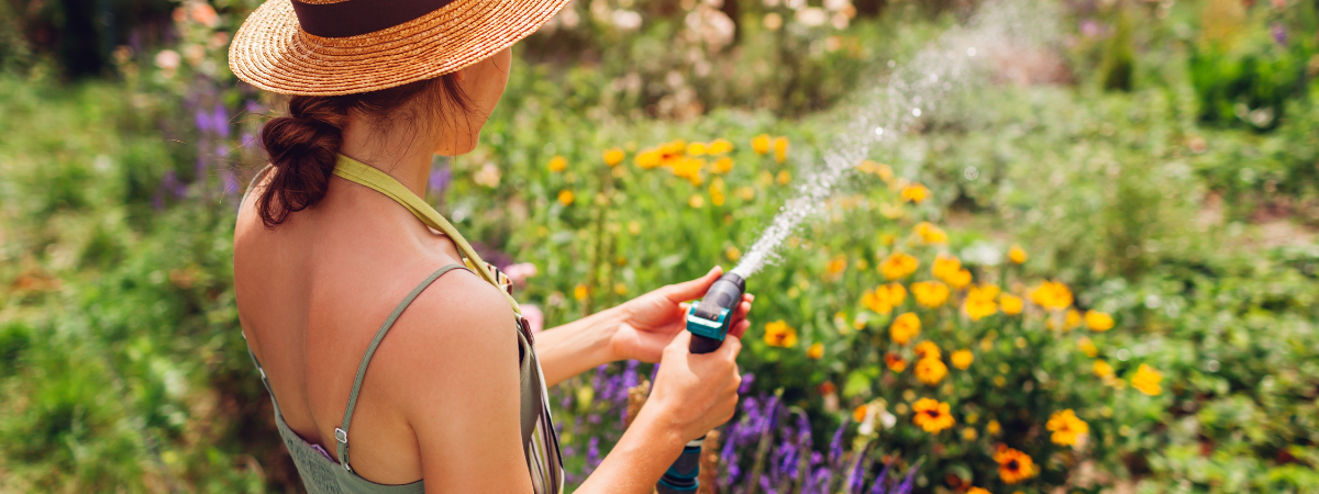 Bewatering voor je tuin Tuinshop