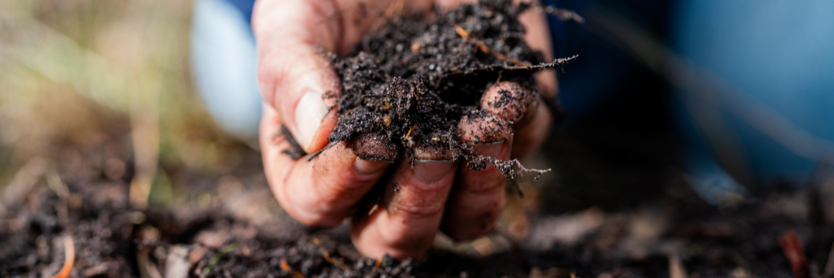 Compost maken Tuinshop