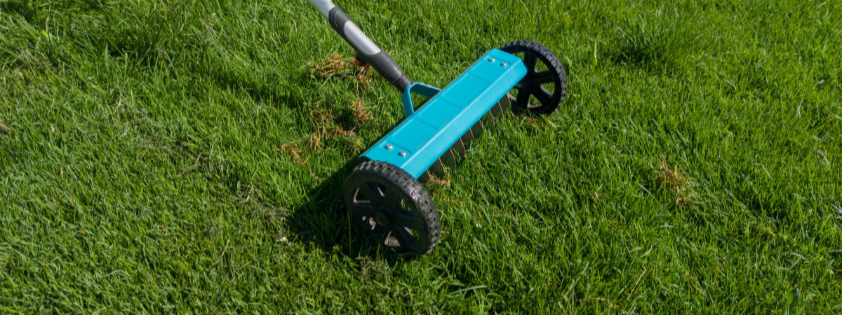 Gazon verticuteren Tuinshop Gazon verticuteren Tuinshop