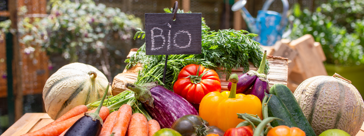 Vegan DCM tuinieren Tuinshop.nl