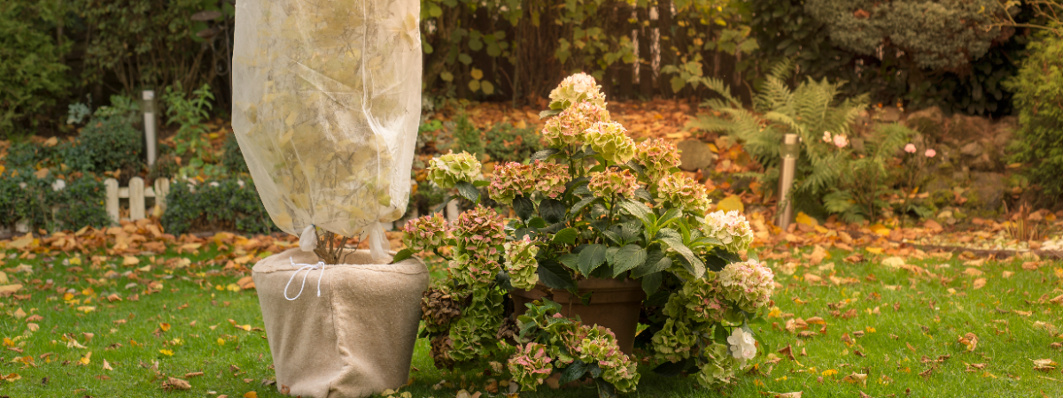 Winterbescherming Tuinshop.nl